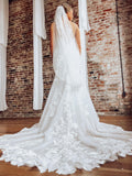 Lace Trimmed Veil