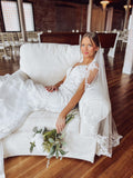 Lace Trimmed Veil