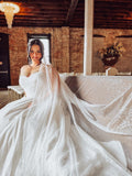 Glitter Tulle Cathedral Veil